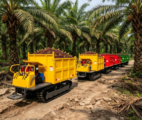 Tombereau chenillé personnalisé | Coopération avec les plantations de palmiers en Colombie