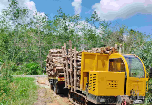 Indonesia - 6-Ton Rubber Track Transporter