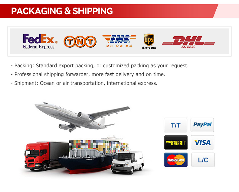 18HP 2 Ton Tracked Dump Truck 18HP 2 Ton Tracked Dump Truck